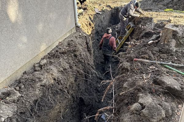 tree root removal from sewer line in Streamwood IL